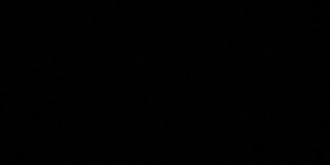 Cornelius Snow IV banner