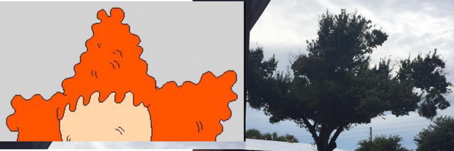JolineBuscemi's profile banner image