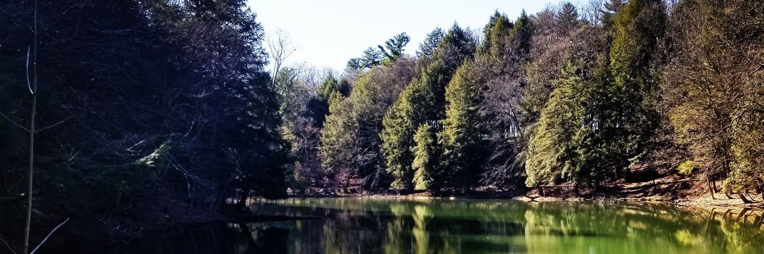 esdodd's profile banner image