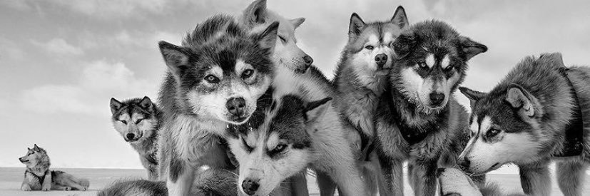 Pierro_bob's profile banner image