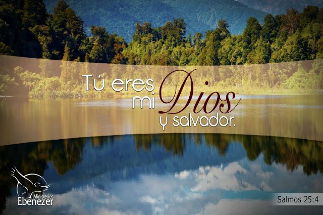 iieepa's profile banner image