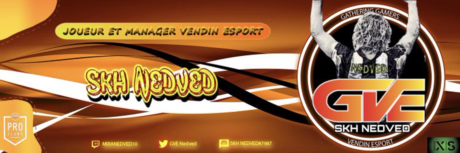 SKH Nedved co gm Vendin Esport Profile Banner