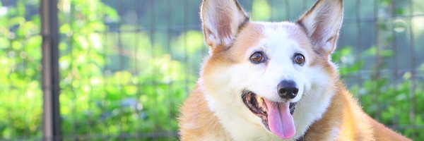 _larm Profile Banner