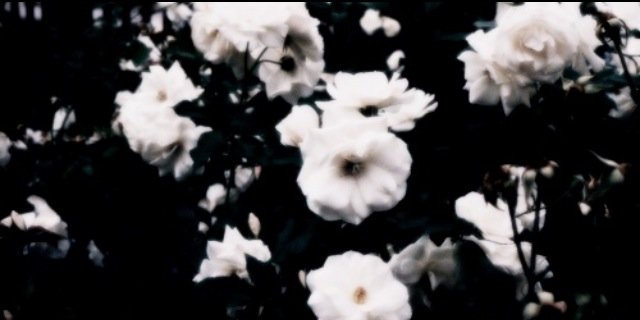 _punkhoran's profile banner image
