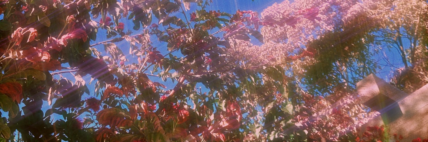 sweetlillion's profile banner image
