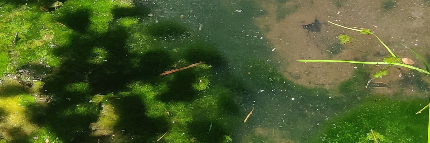 PepinPeint's profile banner image
