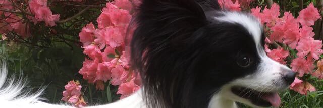 kathyd1990's profile banner image
