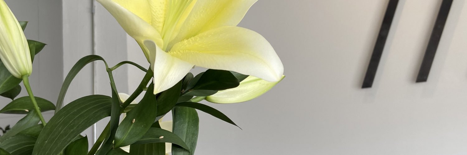 - banner