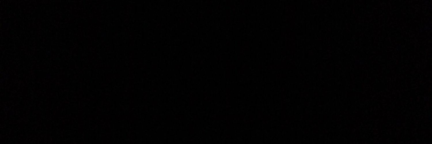 José L Flores banner