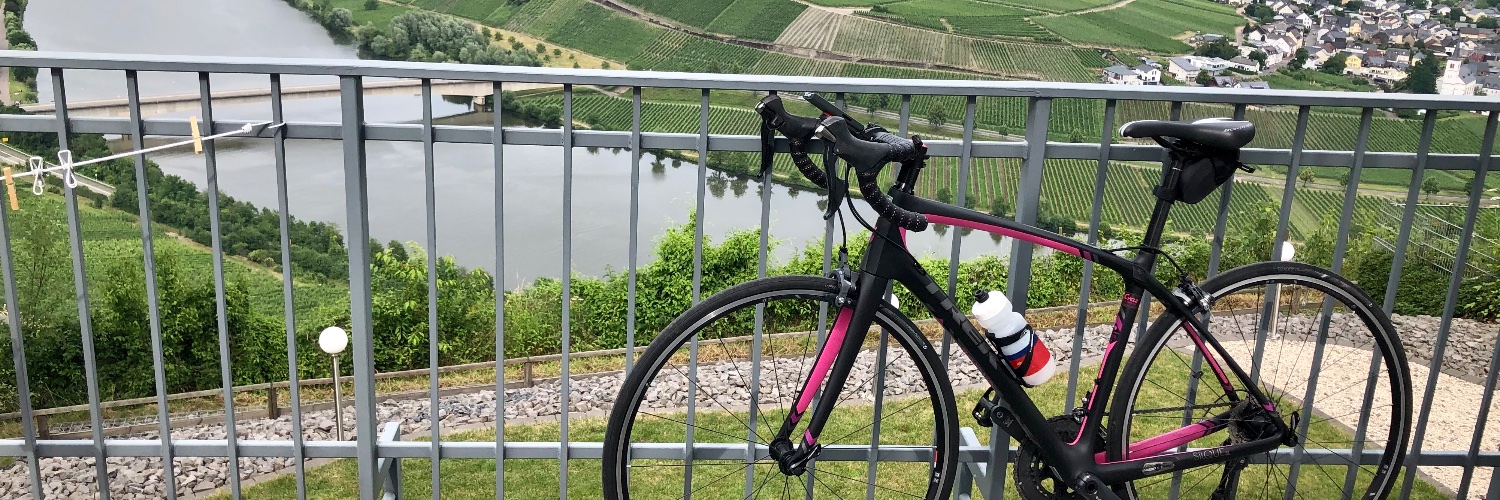 Ronja Radl kocht 👩‍🍳 banner