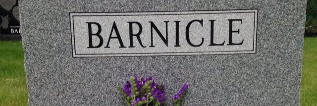 liambarnicle13's profile banner image