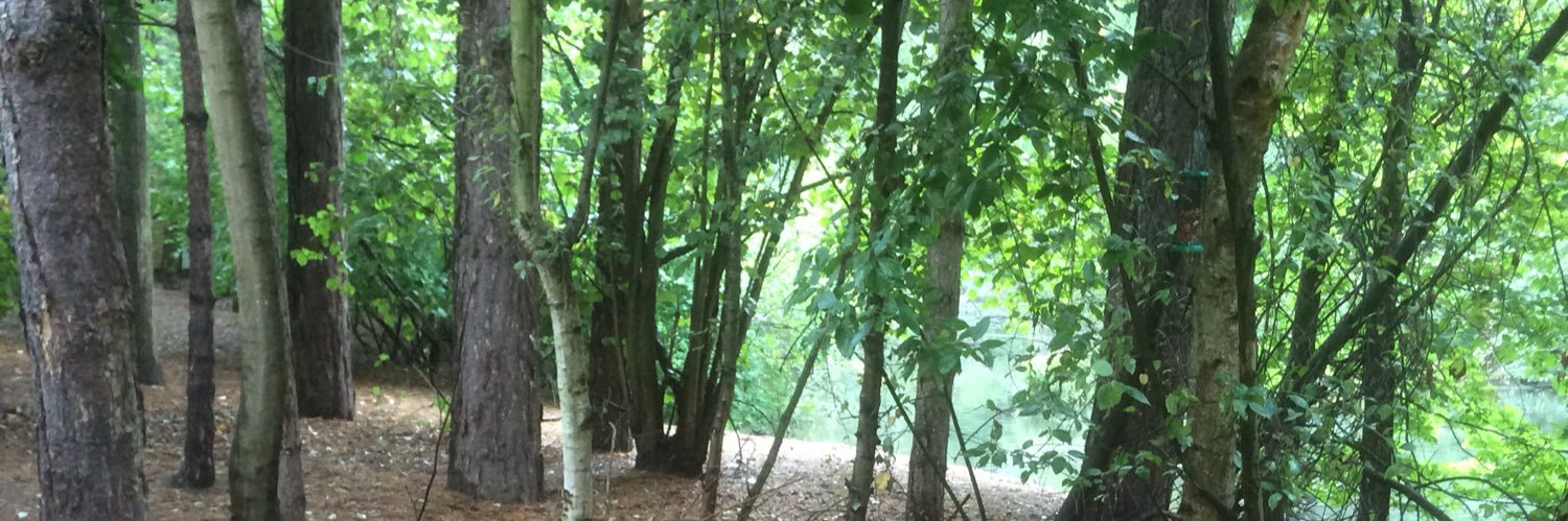 Barbara Jennings 🦋 ✨ banner