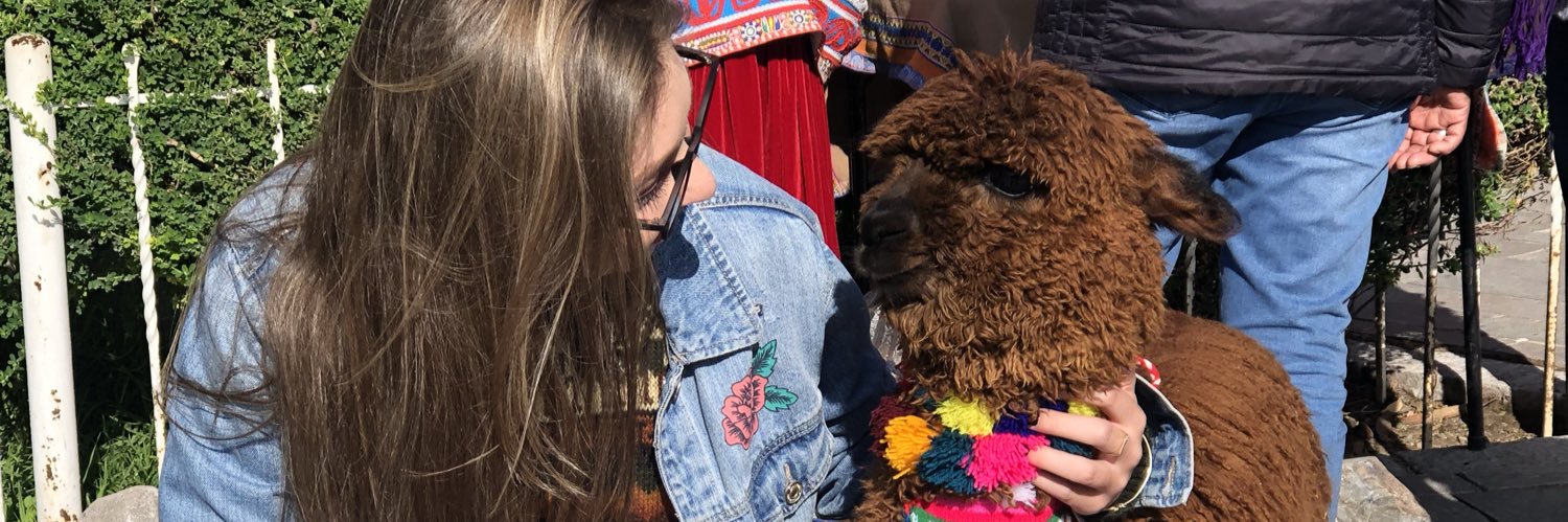 LauraFoguesatto's profile banner image