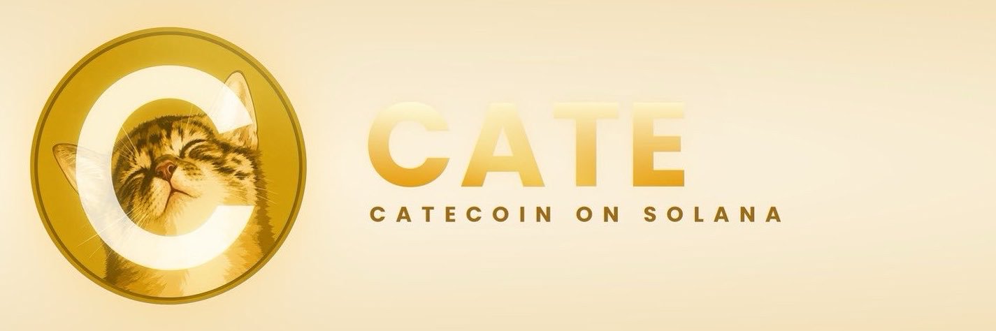 CateCoinSupp's profile banner image