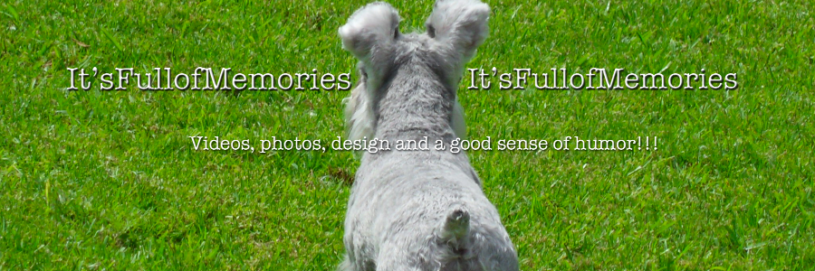 It'sFullofMemories banner