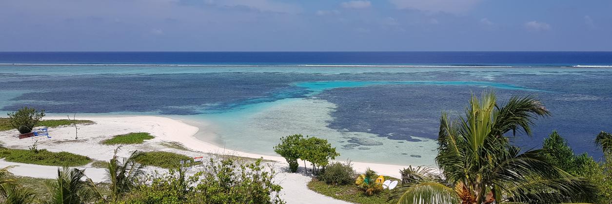 Craig Eardley banner