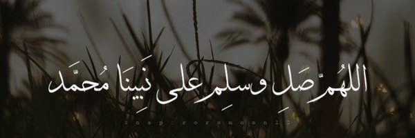 HadeerElafandy Profile Banner