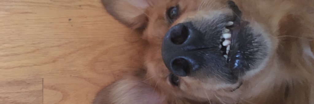 Tharp_Matt13's profile banner image