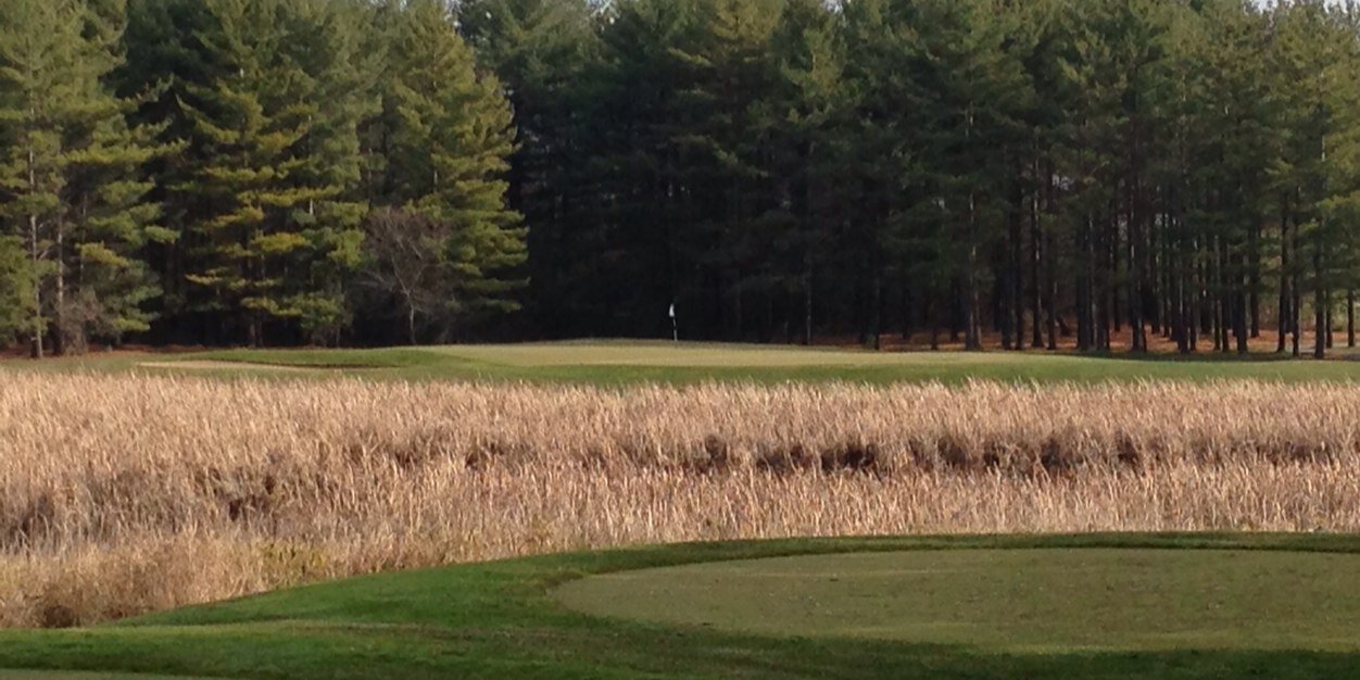 SQLgolferCHI's profile banner image