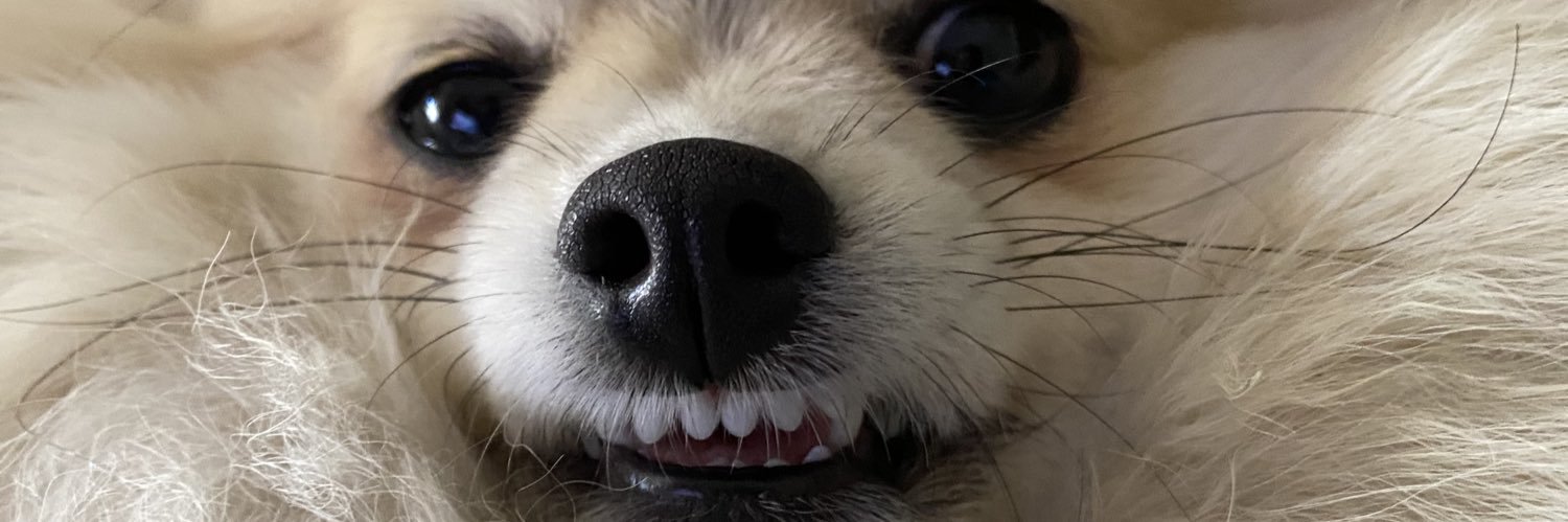 RGuardivir's profile banner image