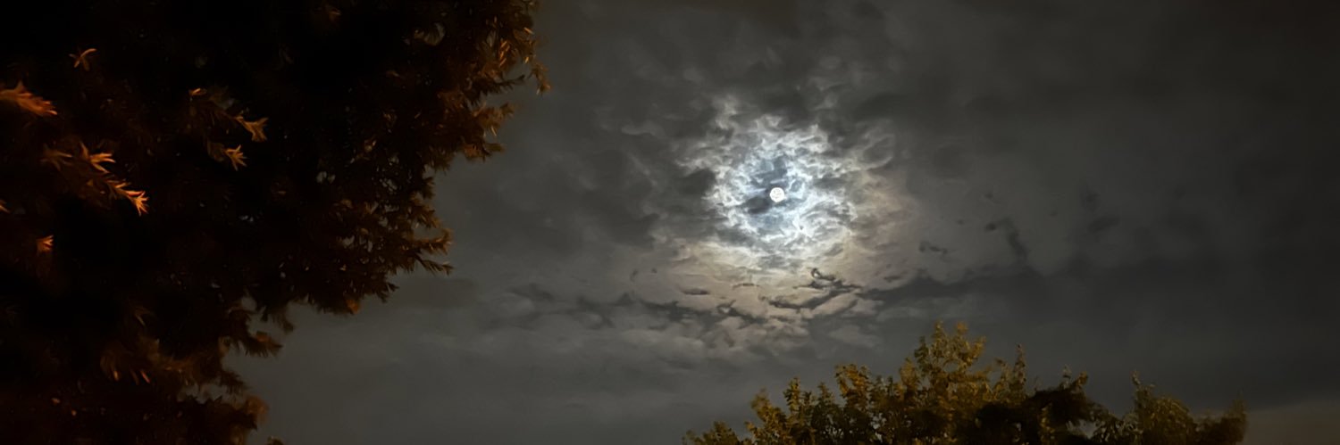 dizzleempire's profile banner image