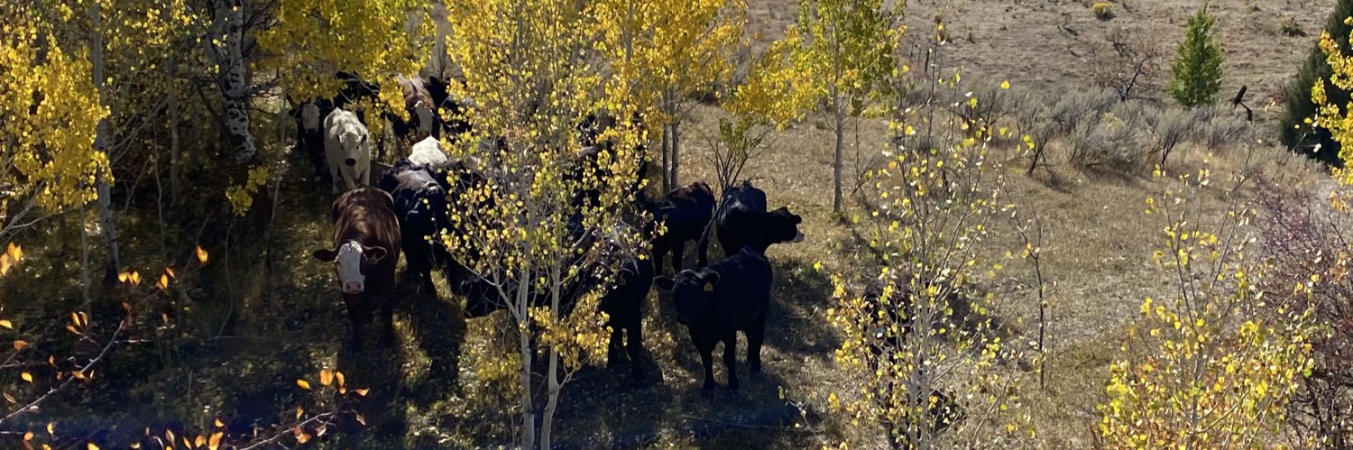 wyattsh2's profile banner image