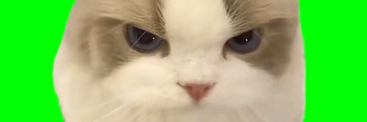 applecat1919's profile banner image