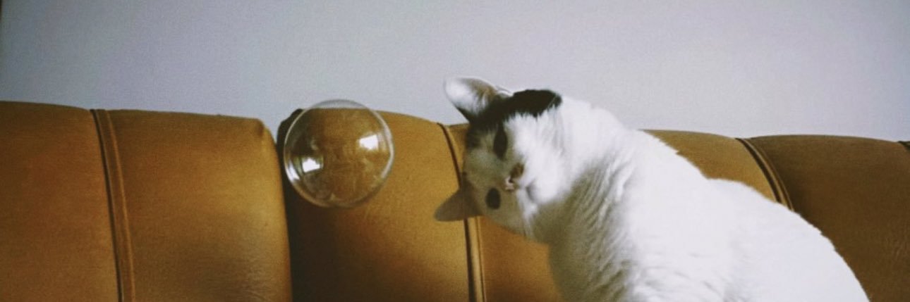 miitchos's profile banner image