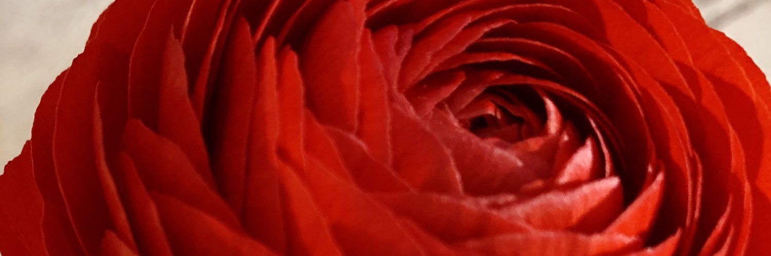 ろぜ🌹 banner