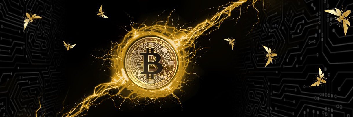 HODL ₿udda⚡️ banner