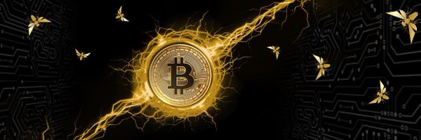 Bitcoin_Budda Profile Banner
