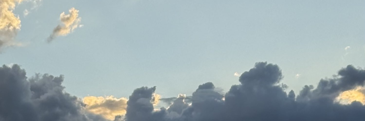 VickyRasclard's profile banner image