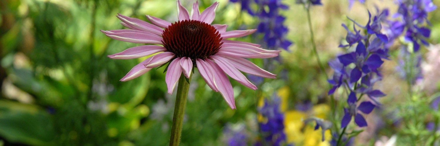 LWattles's profile banner image