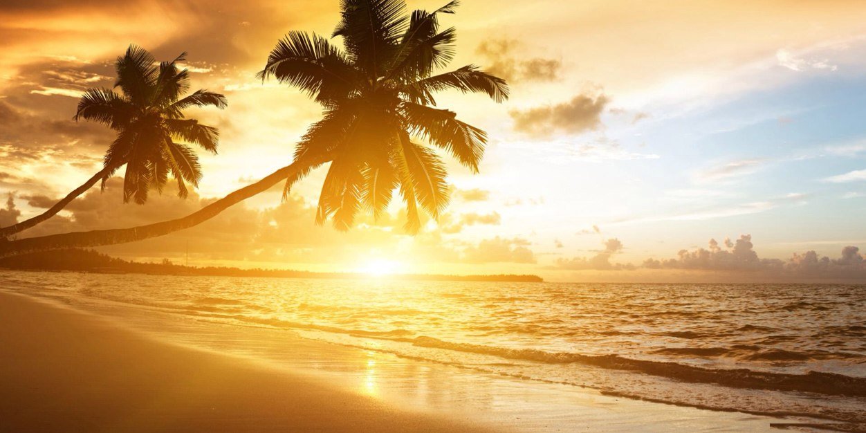 Sarah Cunningham banner