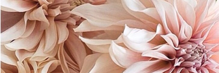 dearest_nehaa's profile banner image