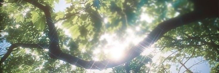 Prōject Bihar banner