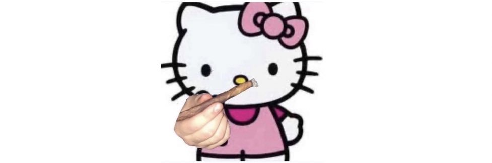 bbygrllbri's profile banner image