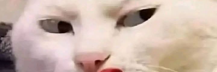 𝑩𝒃𝒆𝒍𝒍 banner