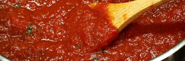 Rio_fox04's profile banner image
