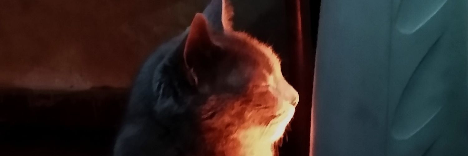 loreeBelenH's profile banner image