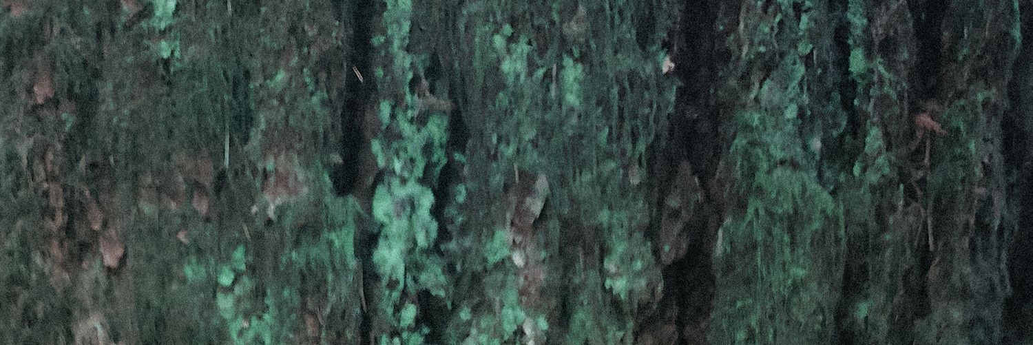 Kermode_Music's profile banner image