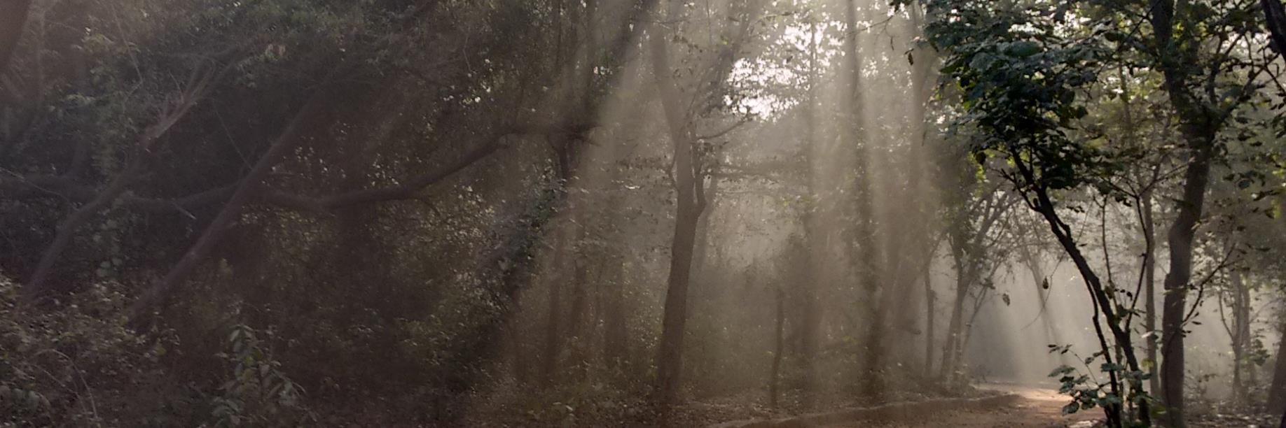 saucilydone's profile banner image