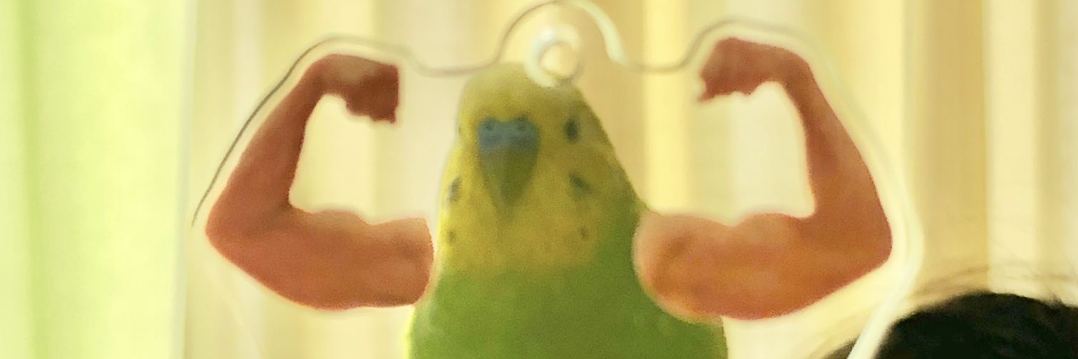 そらみどり banner