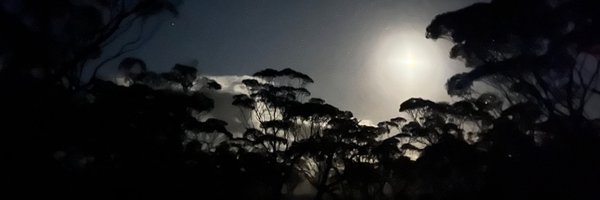 EmmaViskic Profile Banner