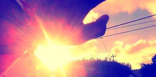 Brando. P Vicente banner