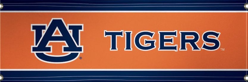 Nick_diller's profile banner image