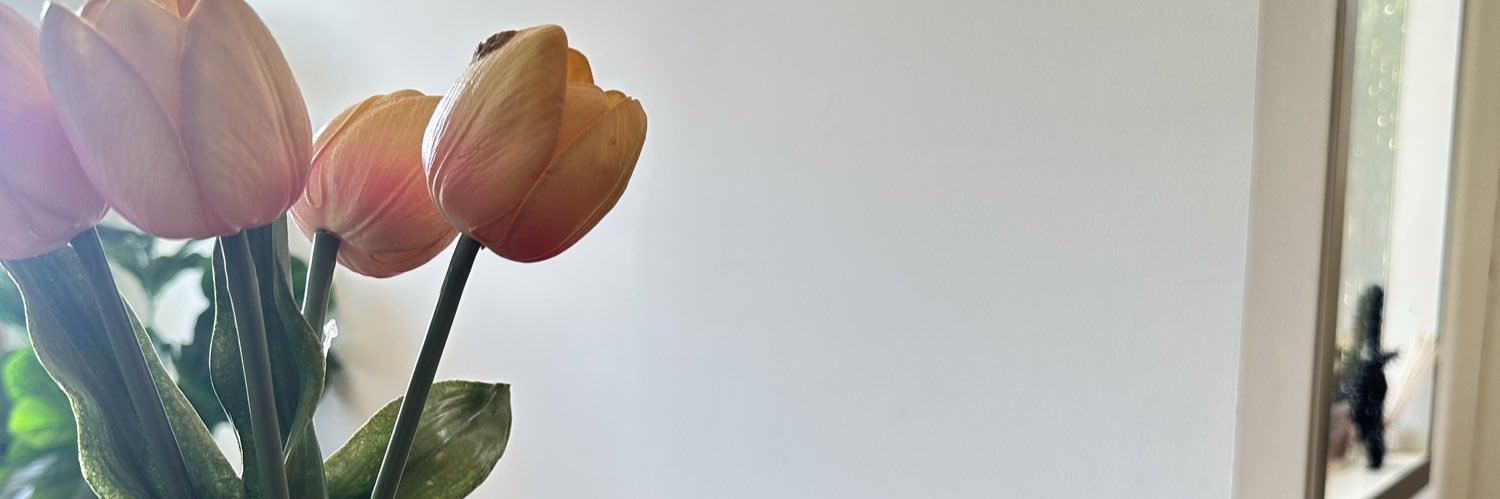 DingDarlene's profile banner image