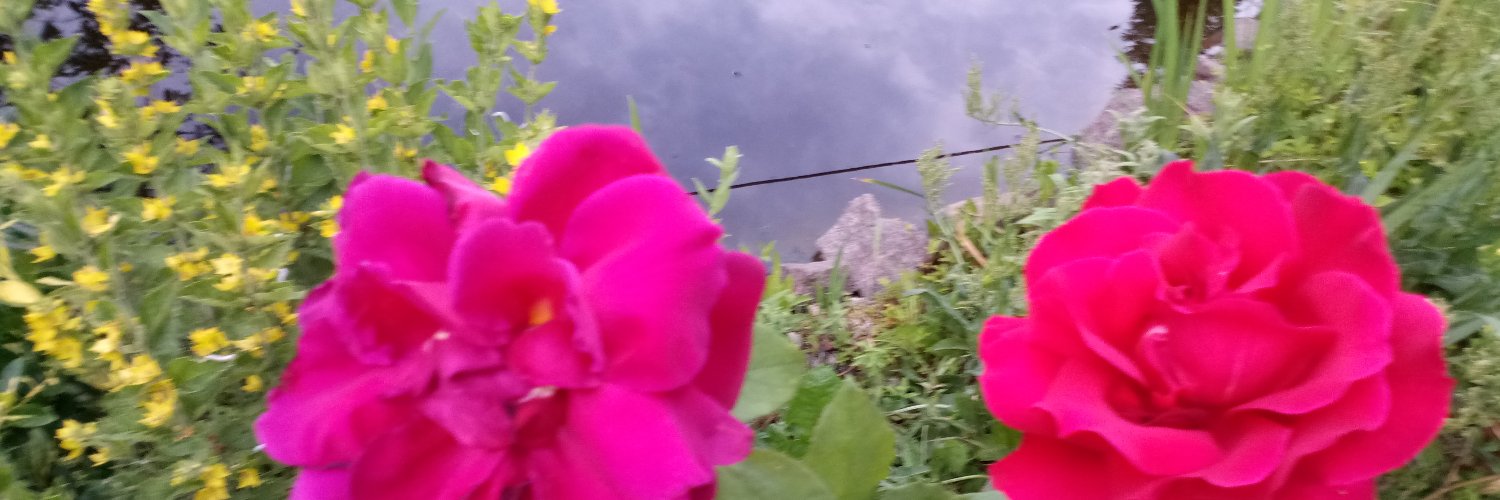 Pabsti2's profile banner image