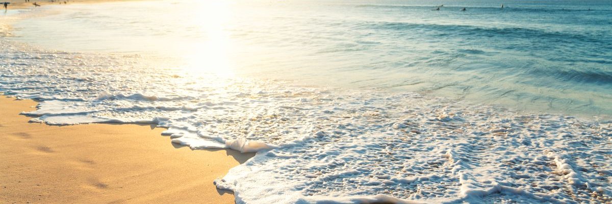 chacz1's profile banner image