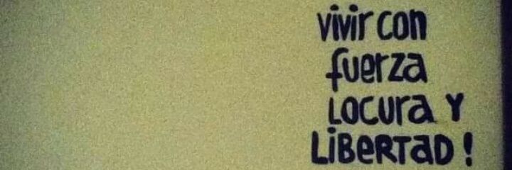 Cami banner
